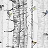 Birch Trees-Behang-Tapete-Coordonne-Grey01-Rol-9500040-Selected Wallpapers