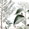 Botanical Garden-behang-Tapete-Les Dominotiers-Color-Non Woven 70 cm-DOM1514-Selected Wallpapers