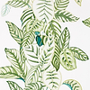 Calathea-behang-Tapete-Sanderson-Green-Rol-216630-Selected Wallpapers