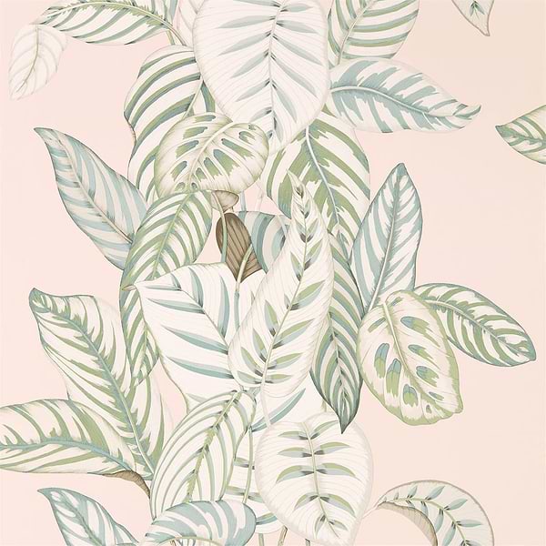 Calathea-behang-Tapete-Sanderson-Orchid-Rol-216632-Selected Wallpapers