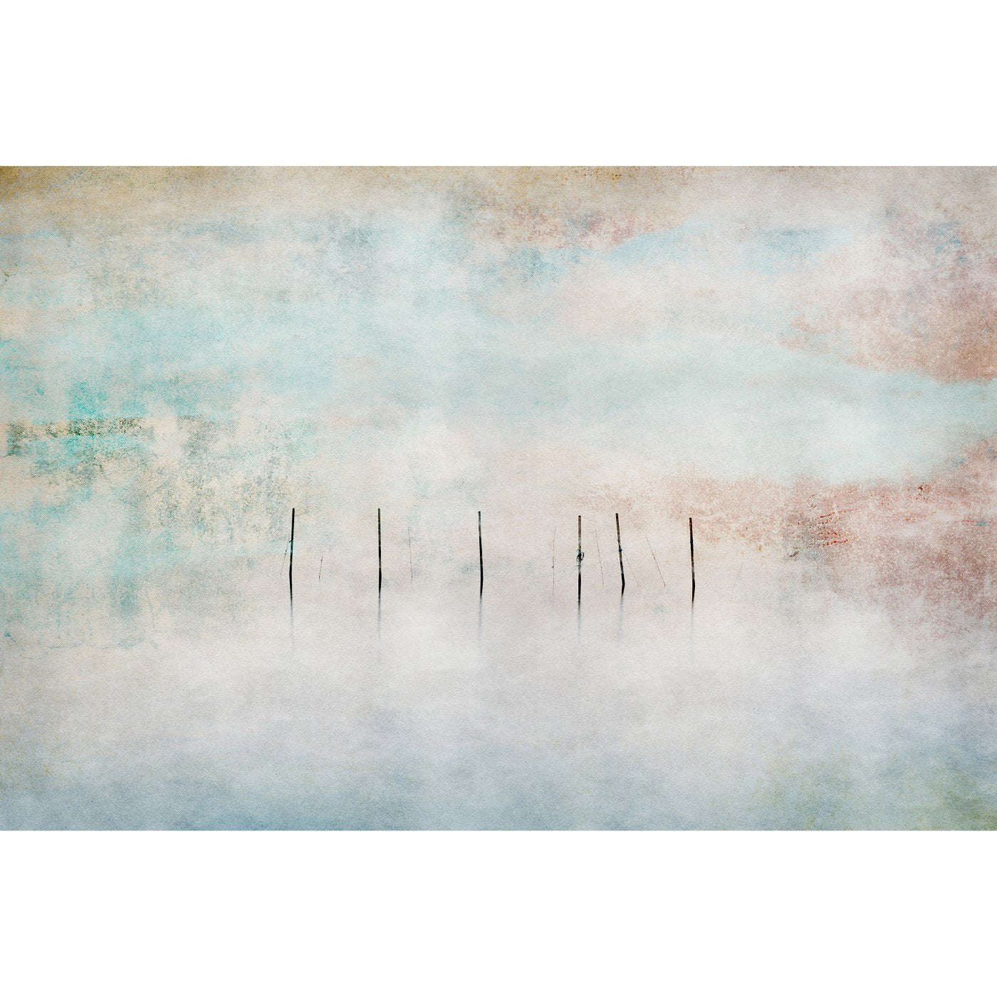 Caligo-Behang-Tapete-INSTABILELAB-Selected Wallpapers