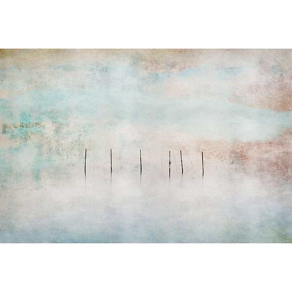 Caligo-Tapete-INSTABILELAB-Selected Wallpapers