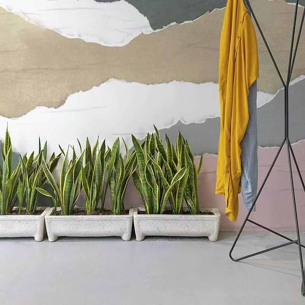 Calobra-Behang-Tapete-Coordonne-Selected Wallpapers