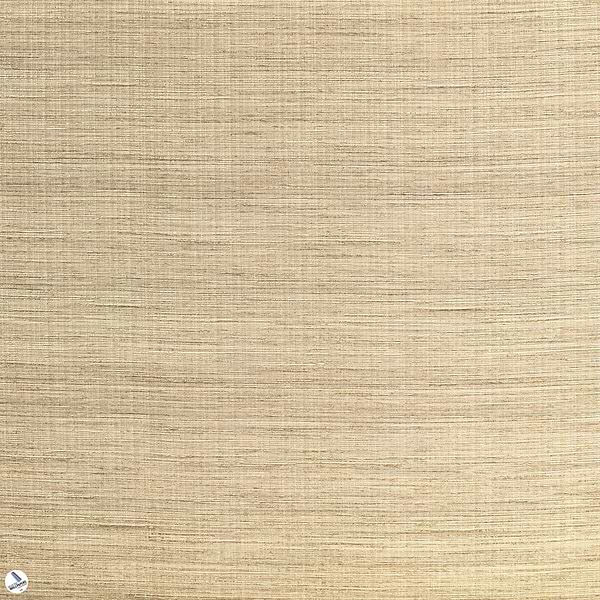 Capital-Behang-Tapete-Dutch Walltextile Company-Beige-Meter (M1)-DWC_cap_87-Selected Wallpapers