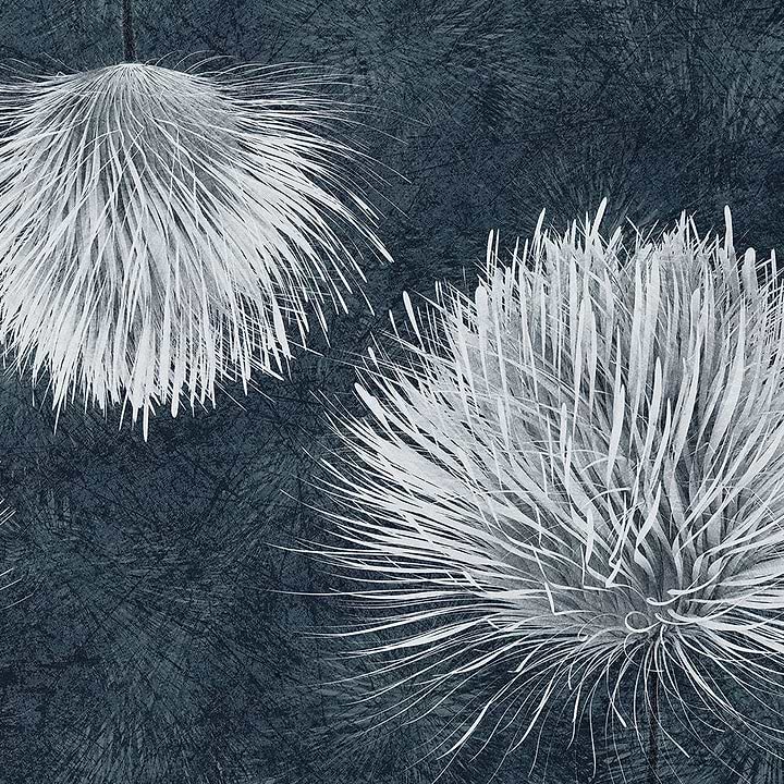 Carduus-Behang-Tapete-Inkiostro Bianco-1-Vinyl 68 cm-INKUDAR2201-Selected Wallpapers
