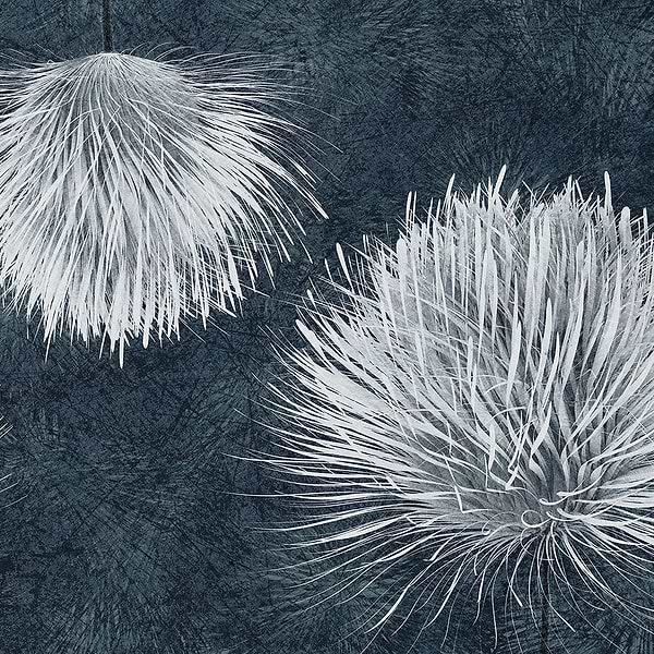 Carduus-Behang-Tapete-Inkiostro Bianco-1-Vinyl 68 cm-INKUDAR2201-Selected Wallpapers