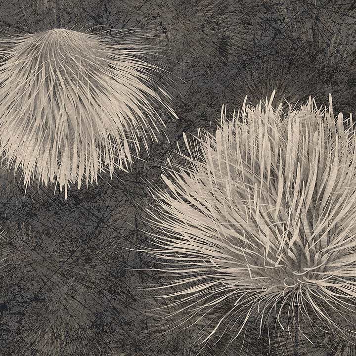 Carduus-Behang-Tapete-Inkiostro Bianco-3-Vinyl 68 cm-INKUDAR2203-Selected Wallpapers