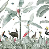 Casela Birds-Behang-Tapete-Les Dominotiers-Non Woven 70 cm-M2-DOM616-Selected Wallpapers
