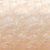 Chettinad-Tapete-Designers Guild-Shell-Set-PDG1136/03-Selected Wallpapers
