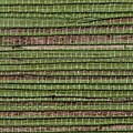 China Hemp-behang-Greenland-Guacamole-Meter (M1)-G0117NH1035-Selected Wallpapers