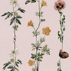 Climbing Flowers-Behang-Tapete-Coordonne-Pink-Rol-9500061-Selected Wallpapers