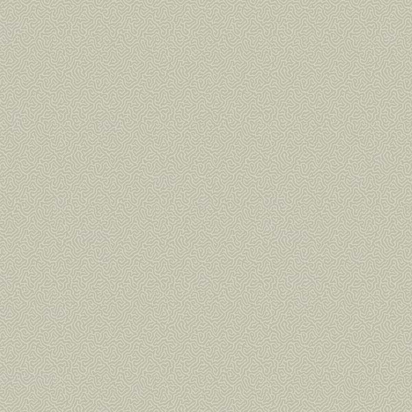 Coral-Behang-Tapete-Cole & Son-Soft Olive-Rol-106/5067-Selected Wallpapers