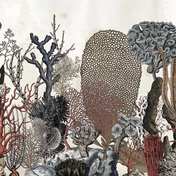 Coralfull-Behang-Wall & Deco-01-Wet System-WET_CO1601-Selected Wallpapers