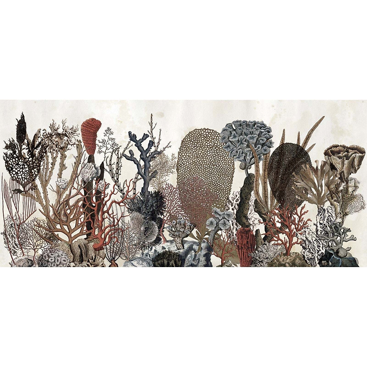 Coralfull-Behang-Wall & Deco-Selected Wallpapers