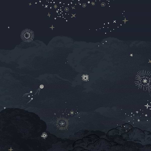 Cosmos-behang-Tapete-Isidore Leroy-Nuit-Non Woven-06241812_custom-Selected Wallpapers