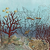 D-Ocean Still Life-behang-Iksel-Pop-225 cm-SC133_CS16-Selected Wallpapers