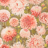 Dahlia-Behang-Tapete-Harlequin-Coral-Rol-112845-Selected Wallpapers