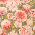Dahlia-Behang-Tapete-Harlequin-Coral-Rol-112845-Selected Wallpapers