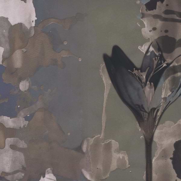 Delilah-Behang-Wall & Deco-01-CWC-WDDE2001-Selected Wallpapers