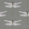 Demoiselle-behang-Tapete-Harlequin-Graphite/Almond-Rol-111242-Selected Wallpapers