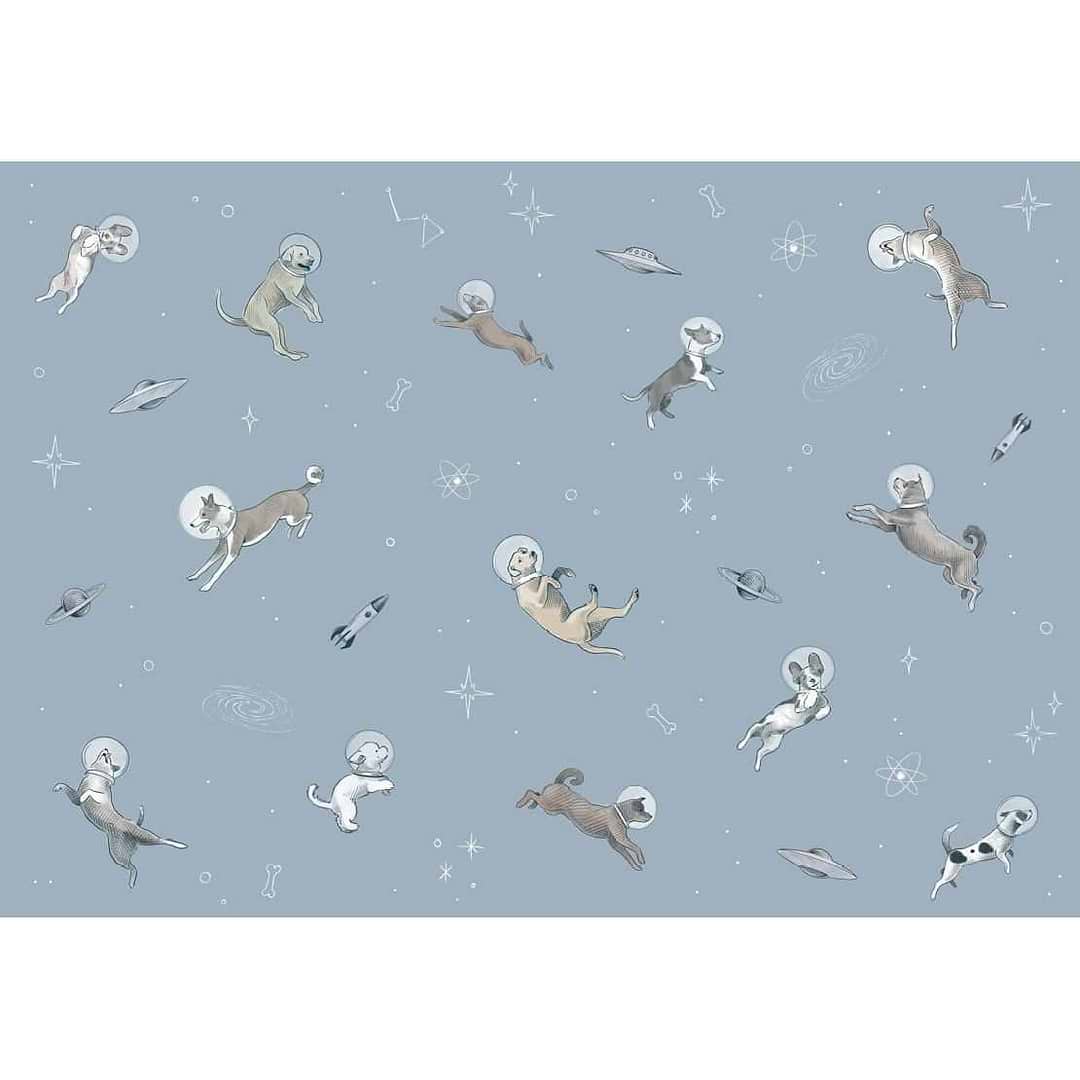 Doggy Gravity-behang-Tapete-Coordonne-Selected Wallpapers