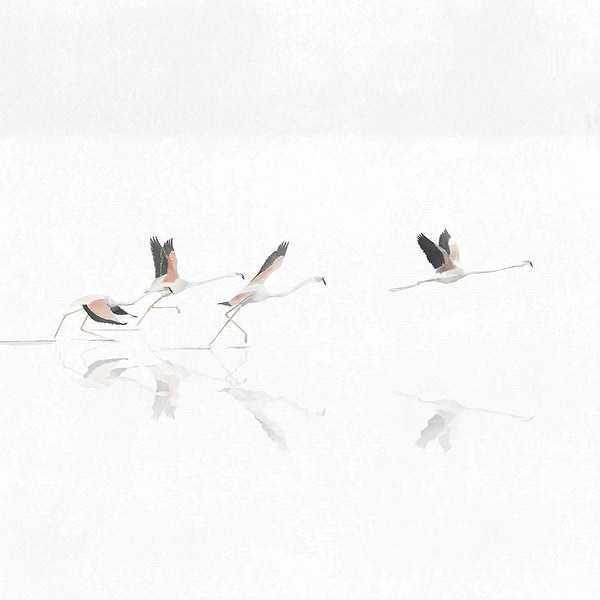 Donana Textile-Wallpaper-Coordonne-Swan-Linnen-A00316-Selected Wallpapers