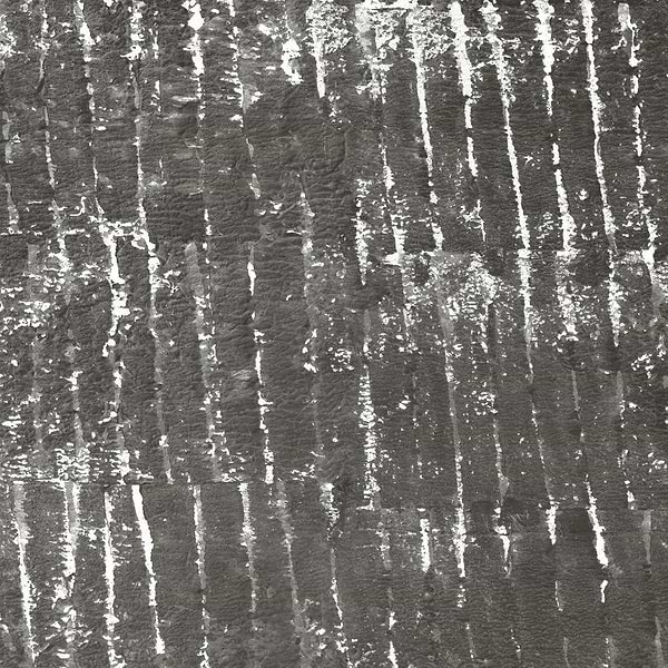 Ecorce-behang-Tapete-Isidore Leroy-Gris-Non Woven-6245215-Selected Wallpapers