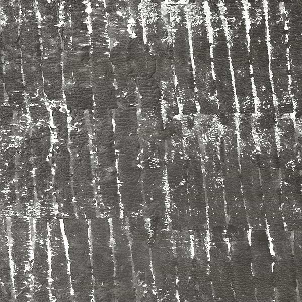 Ecorce-behang-Tapete-Isidore Leroy-Gris-Non Woven-6245215-Selected Wallpapers