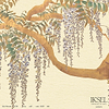Edo Wisteria-behang-Iksel-Ivory-225 cm-SC110_CS23-Selected Wallpapers