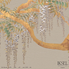 Edo Wisteria-behang-Iksel-Chai-225 cm-SC110_CS25-Selected Wallpapers