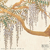 Edo Wisteria-behang-Iksel-Pale Peach-225 cm-SC110_CS30-Selected Wallpapers