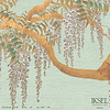 Edo Wisteria-behang-Iksel-Celery-225 cm-SC110_CS37-Selected Wallpapers