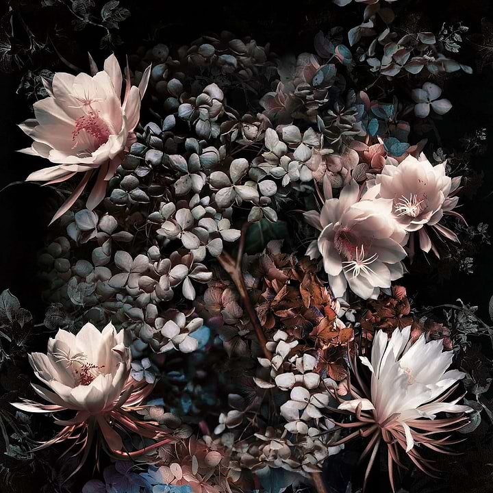 Elisir-behang-Tapete-Inkiostro Bianco-2-Vinyl 68 cm-INKCSNF1902-Selected Wallpapers