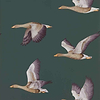 Elysian Geese-behang-Tapete-Sanderson-Amsterdam Green-Rol-216608-Selected Wallpapers