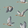 Elysian Geese-behang-Tapete-Sanderson-Blue Clay-Rol-216610-Selected Wallpapers