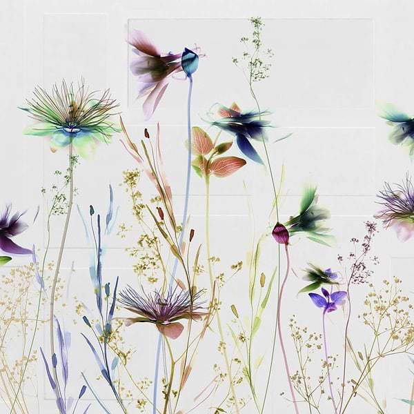 Emozioni-behang-Tapete-Glamora-1A-GlamDecor-GLXI271A-Selected Wallpapers