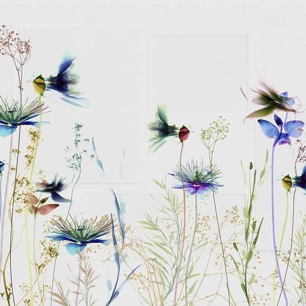 Emozioni-behang-Tapete-Glamora-1B-GlamDecor-GLXI271B-Selected Wallpapers