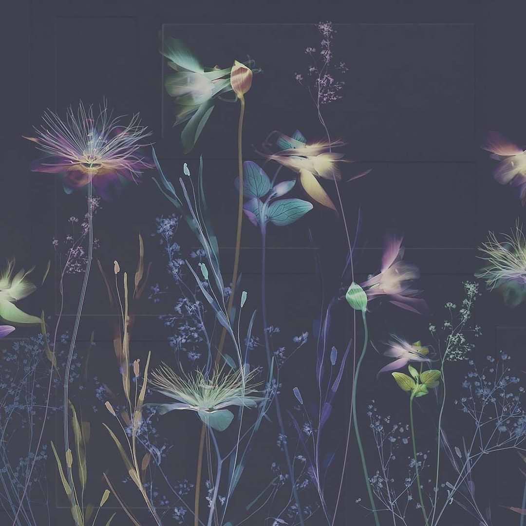 Emozioni-behang-Tapete-Glamora-2A-GlamDecor-GLXI272A-Selected Wallpapers