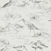 Estuary Birds-behang-Tapete-Sanderson-Chalk/Sepia-Rol-216493-Selected Wallpapers