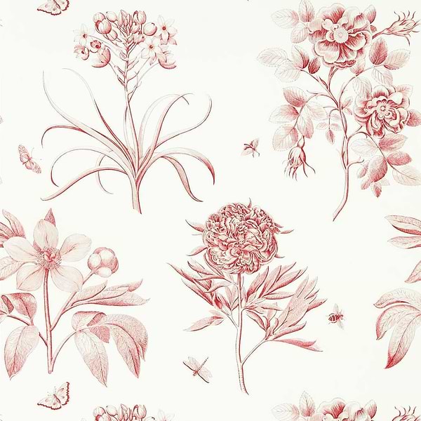 Etchings & Roses-behang-Tapete-Sanderson-Amanpuri Red-Rol-217054-Selected Wallpapers