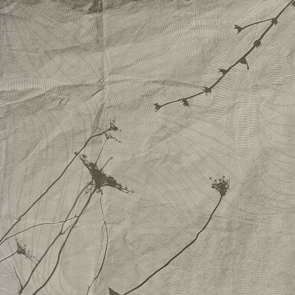 Eupraxia-behang-Tapete-Glamora-1A-GlamFusion-GLHY191A-Selected Wallpapers