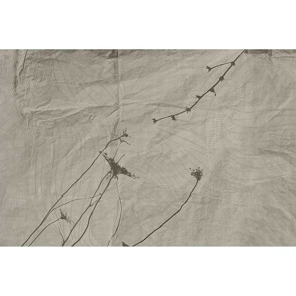 Eupraxia-behang-Tapete-Glamora-Selected Wallpapers