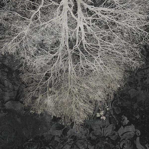 Expansion Theory-behang-Tapete-Muance-Antraciet-Vinyl-MU12032-Selected Wallpapers