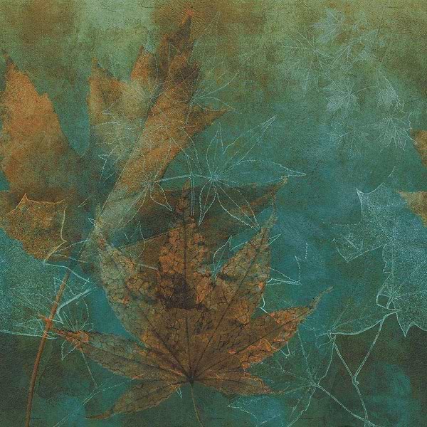 Falling | Fiber Glass-behang-Tapete-Inkiostro Bianco-1-EQ Dekor Fiber Glass-INKFLMW1901-Selected Wallpapers