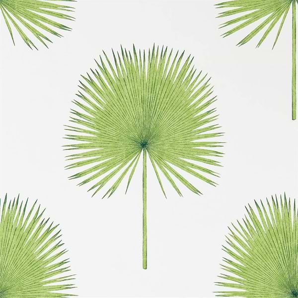 Fan Palm-behang-Tapete-Sanderson-Green-Rol-216636-Selected Wallpapers