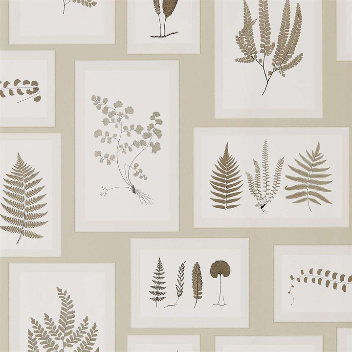 Fern Gallery-behang-Tapete-Sanderson-Linen/Sepia-Rol-215714-Selected Wallpapers