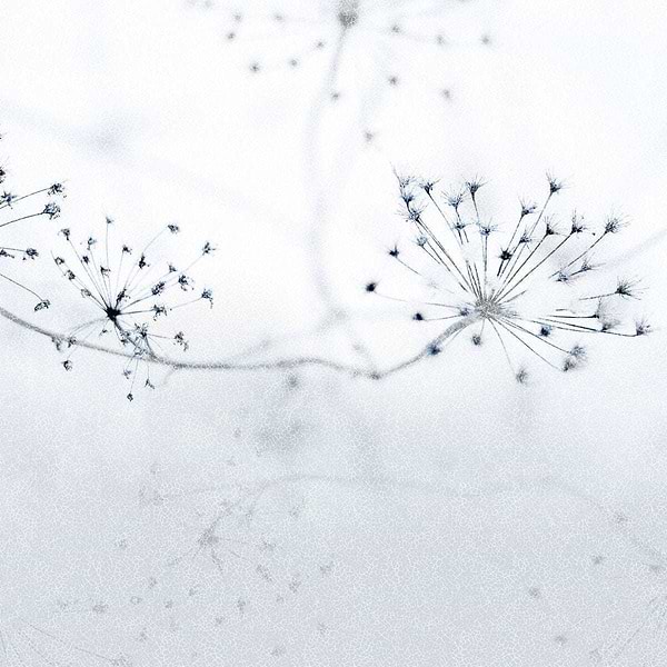 Floss-Behang-Tapete-INSTABILELAB-01-Vinyl New Middle-Floss01-Selected Wallpapers