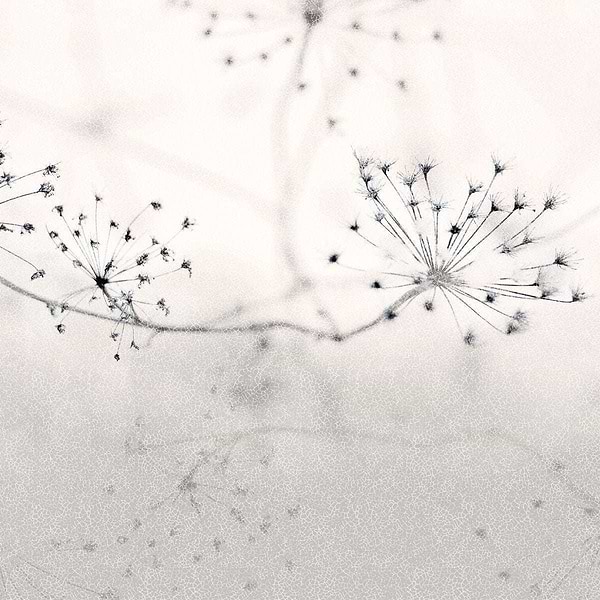 Floss-Behang-Tapete-INSTABILELAB-02-Vinyl New Middle-Floss02-Selected Wallpapers