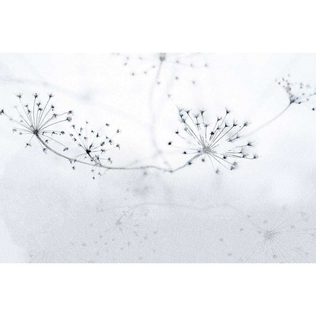 Floss-Behang-Tapete-INSTABILELAB-Selected Wallpapers