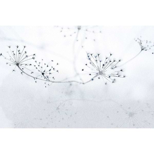 Floss-Behang-Tapete-INSTABILELAB-Selected Wallpapers